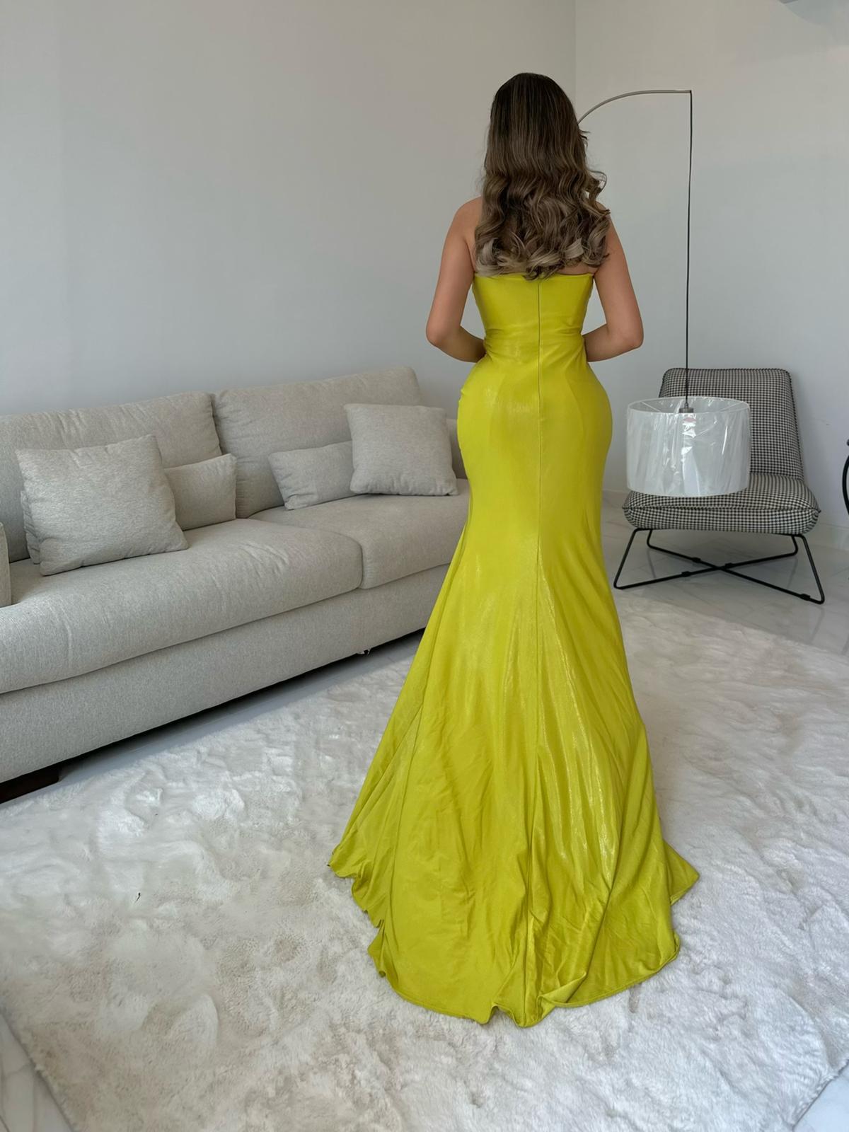 Shinny dress